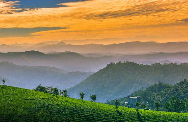 379|ATHIRAPPILLY MUNNAR THEKADY KUMARAKOM 5N