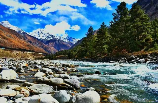 202|CHITKUL KALPA 