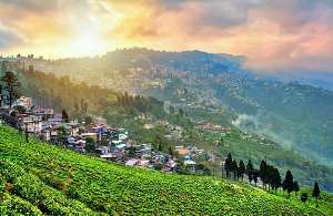 273|DARJEELING & KALIMPONG 4NIGHT 5DAYS