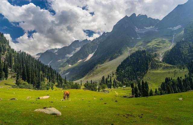 473|KASHMIR 6 NIGHTS 7 DAYS | 2N SRINAGAR + 2N PAHALGAM + 2N GULMARG